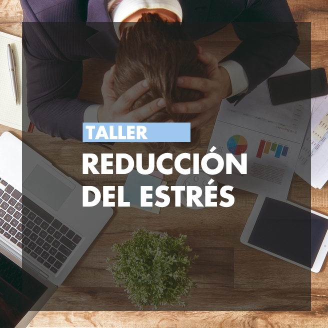 Curso de reducción de estrés basado en Mindfulness